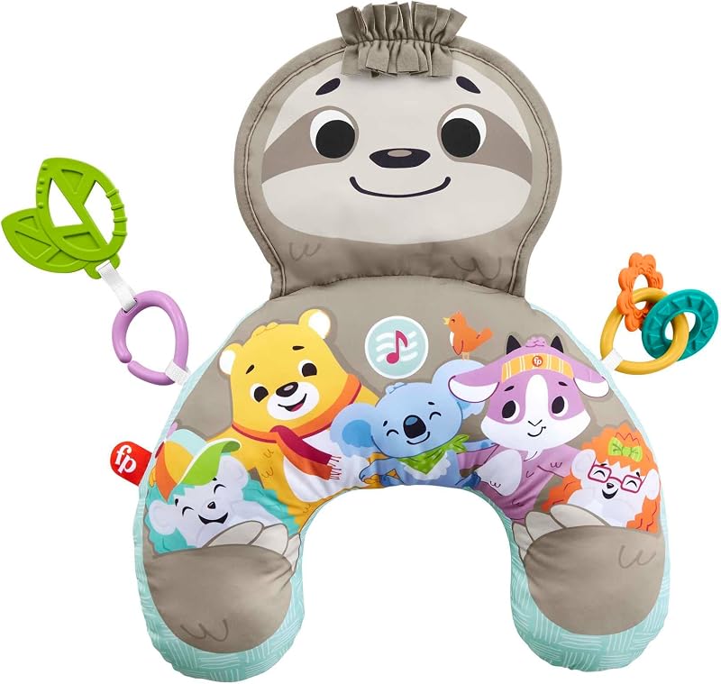 Fisher Price Luiaard Buikligtrainer - outlet/retourdeal