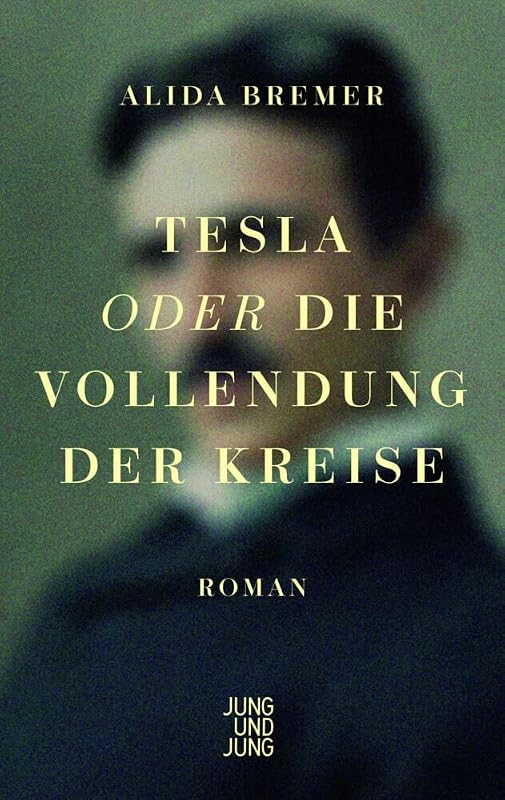 Tesla oder die Vollendung der Kreise: Roman - outlet/retourdeal