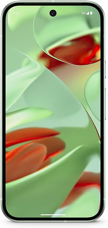Google Pixel 9 Smartphone Android con Gemini - outlet/retourdeal
