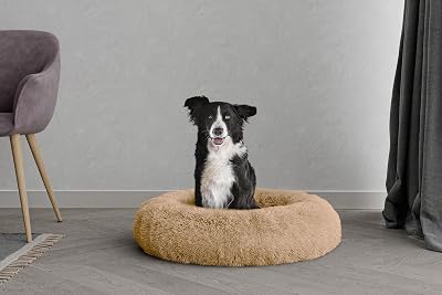 Italian Bed Linen Dreams Sogni e Capricci Pets - outlet/retourdeal