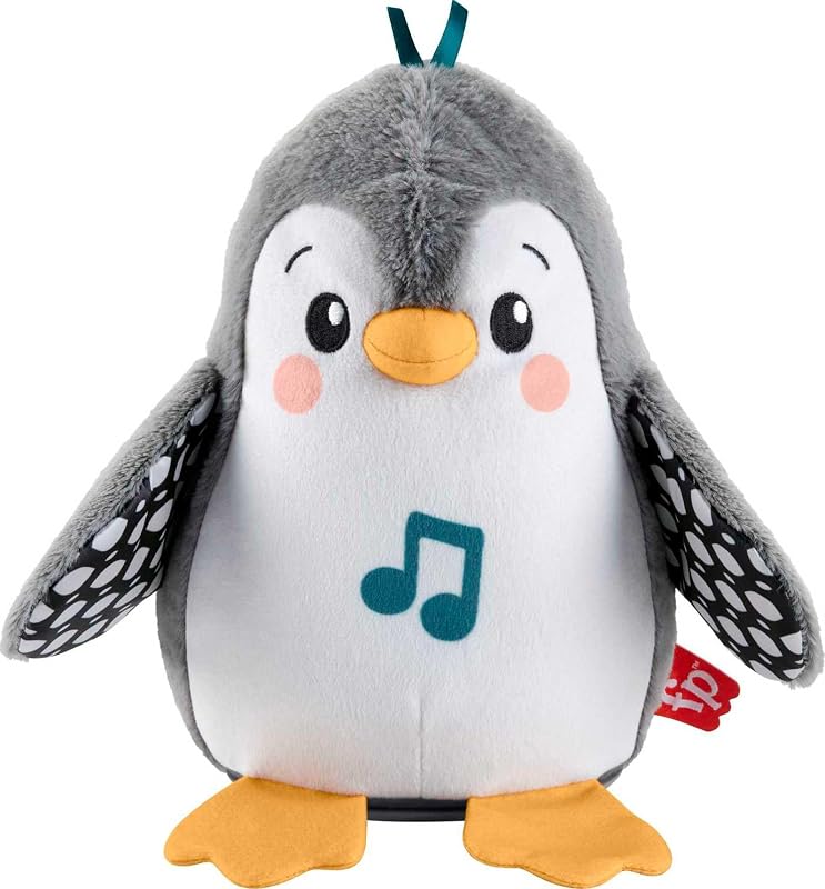 Fisher-Price Knuffelspeelgoed om op de buik te spelen voor - outlet/retourdeal