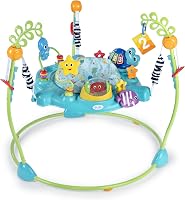 Baby Einstein Ocean Explorers Curiosity Cove 2-in-1 educatieve - outlet/retourdeal