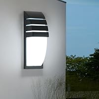 Binnen/Buiten Muurlamp Zwarte 12W 6000K Koel Witte LED-Muurlamp - outlet/retourdeal