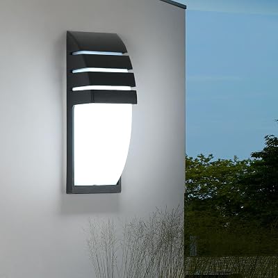 Binnen/Buiten Muurlamp Zwarte 12W 6000K Koel Witte LED-Muurlamp - outlet/retourdeal
