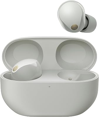 Sony WF-1000XM5 Draadloze Noise Cancelling oordopjes - tweedehands - als nieuw — outlet/retourdeal