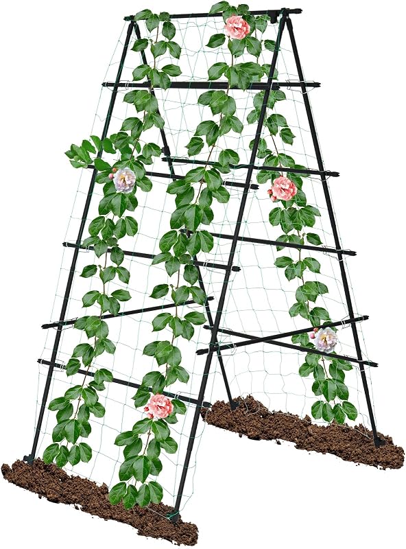 voet 6 × 3 voet tuinrooster voor klimplanten - outlet/retourdeal