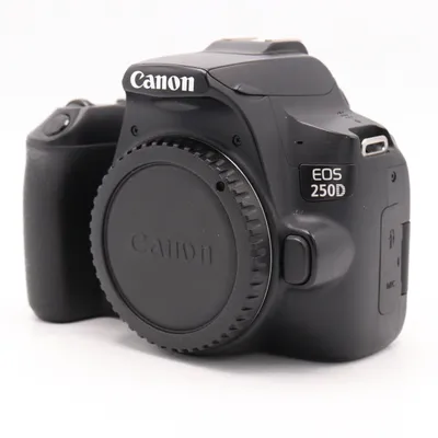 Canon EOS 250D body occasion - tweedehands (occasion) — outlet/retourdeal